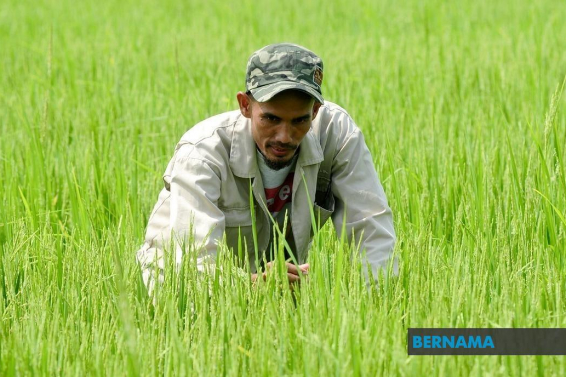 RM171.64 mln channelled to support agriculture industry, food security as of July 9