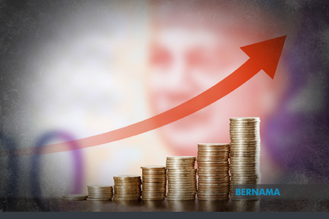 New statutory debt limits to balance financing needs – Yamani Hafez