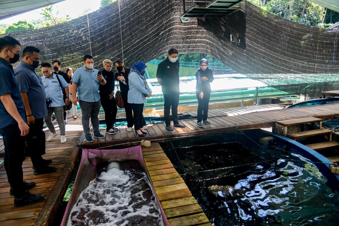 Sesi Lawatan sempena #JelajahBajet2023 ke Akuarium Marin &amp; Hatcheri Ikan, Institusi Penyelidikan Marin Borneo Sabah, UMS