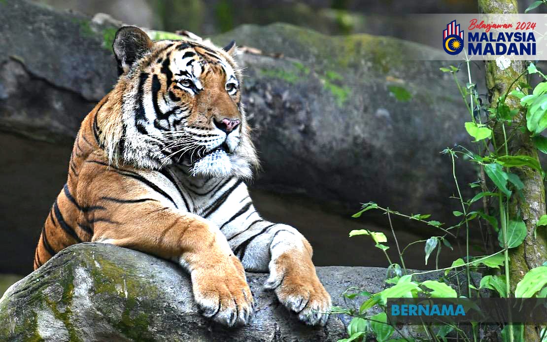 Budget 2024: RM200 Mln For EFT, More Community Rangers To Be Appointed