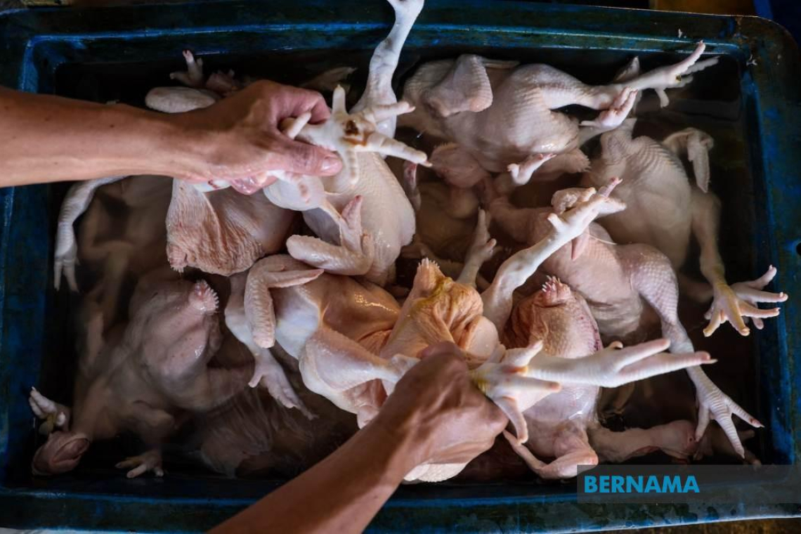 Price of chicken, cooking oil lower than before, says PM Anwar