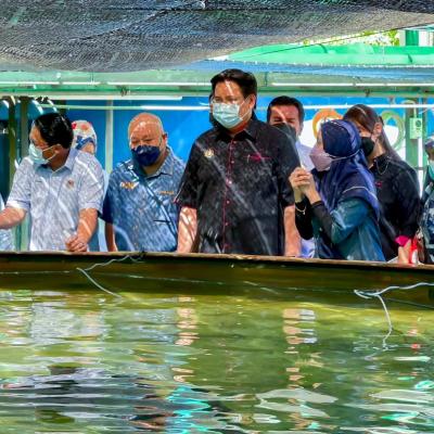 Sesi Lawatan sempena #JelajahBajet2023 ke Akuarium Marin & Hatcheri Ikan, Institusi Penyelidikan Marin Borneo Sabah, UMS