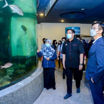 Sesi Lawatan sempena #JelajahBajet2023 ke Akuarium Marin & Hatcheri Ikan, Institusi Penyelidikan Marin Borneo Sabah, UMS