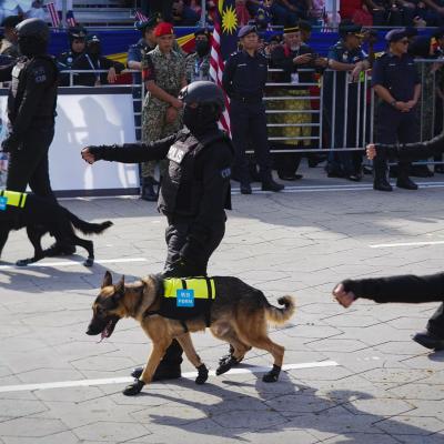 Majlis Sambutan Hari Kebangsaan Ke-65