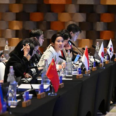 Mesyuarat Pertama Jawatankuasa Kerja ASEAN+3