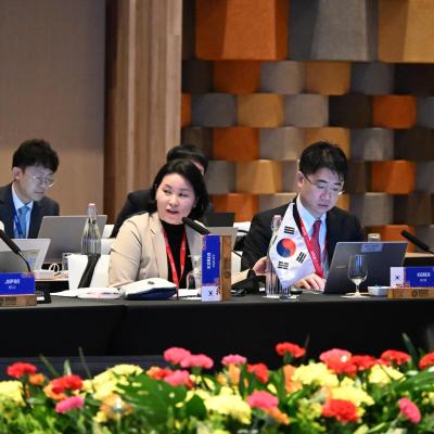 Mesyuarat Pertama Jawatankuasa Kerja ASEAN+3