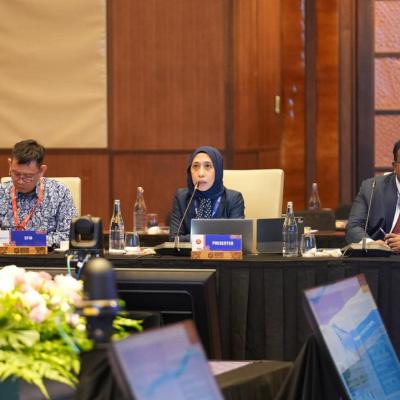 The ASEAN Working Committee On Capital Market Development