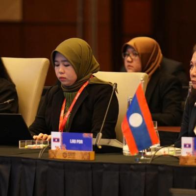The ASEAN Working Committee On Capital Market Development