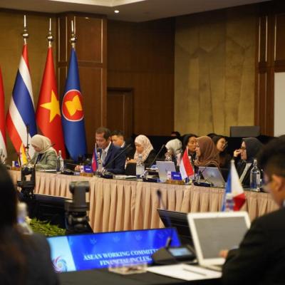 The ASEAN Working Committee On Financial Inclusion & The ASEAN Working Committee on Payment & Settlement Systems