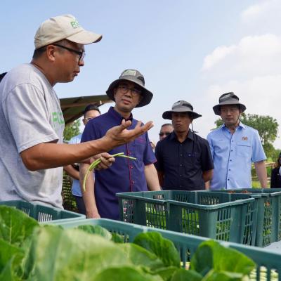 Sesi Turun Padang ke FOLO Farms, Ulu Tiram, Johor