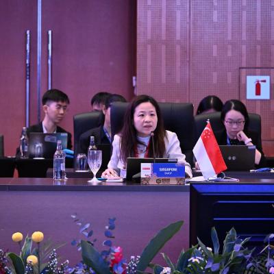 ASEAN Finance Deputies Meeting (AFDM)