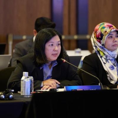 ASEAN+3 Finance and Central Bank Deputies’ Meeting (AFCDM+3)