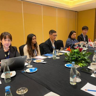 AFCDM-WG & Related Meetings Under The ASEAN Philippines Chairship 2026